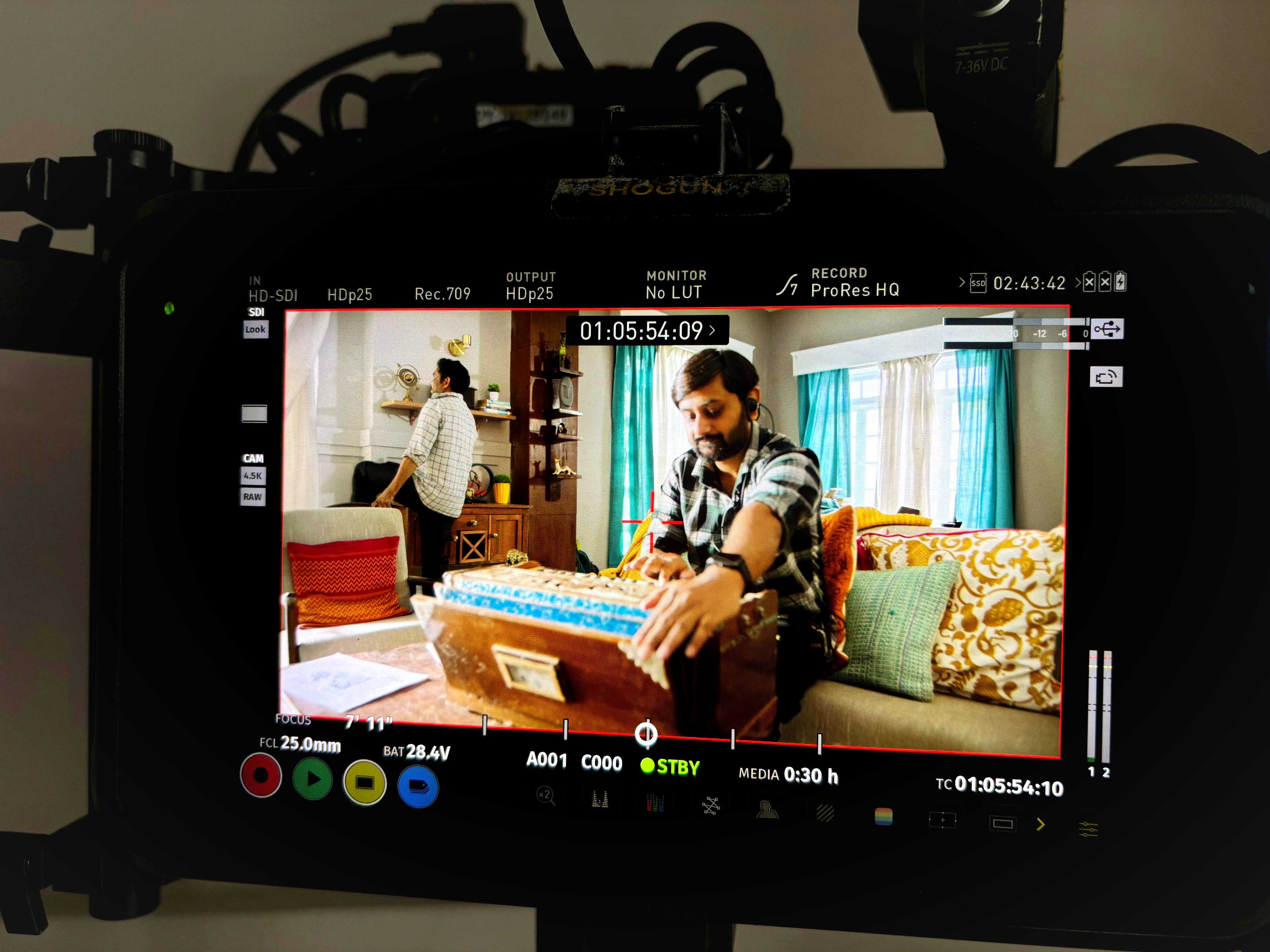 Camera monitor view